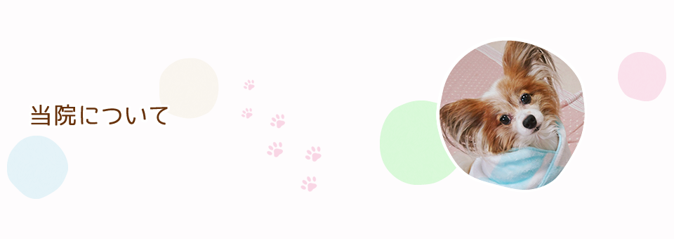 Q A 新大阪の もへい動物病院 犬 猫 ウサギの診療 ペットホテル