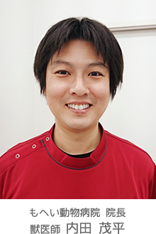 もへい動物病院 院長 獣医師 内田 茂平