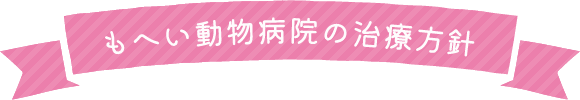 もへい動物病院の治療方針